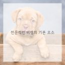 미술감상과 비평 네이버블로그