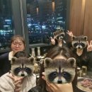 뜸하우스