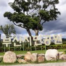 부산시민공원 Daum카페