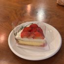 하성조명 이미지