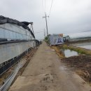 이승민농장 | 대저토마토,위잇농장,토마토 체험 다녀왔어요^^