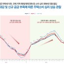 인더포레 이미지