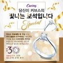 커브스 월계클럽