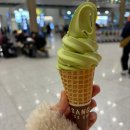 지에스25선산한남점 | 2월 일상