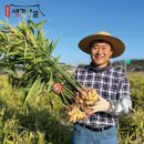 농업회사법인자연과사람주식회사