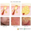 풍년석유 - 화성시 | 풍년석유