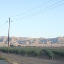 김홍식농장 이미지