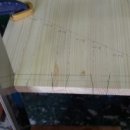 라디안소프트 이미지