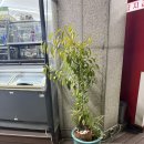 세븐일레븐 숭의동성당점 이미지