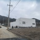 햄릿과올리브
