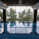 라테라스 이미지