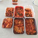 일심상회 이미지