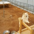 정수농장 이미지