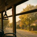 일상의 발견 이미지