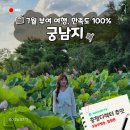 궁남로7 | 끝나도 부여 궁남지에 사람이 계속 몰리는 이유, 폭염 견디며 구경 후기 +주변 맛집 사비향 연잎밥 추천!