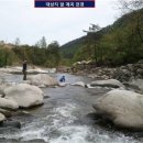 임수형 카카오 검색결과