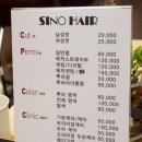 시노헤어 이미지