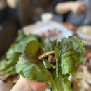 포항 오어사 맛집 양주골오리마을 생오리 구이 후기