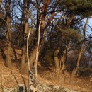 상신리 입석 이미지