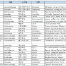 멸종조사지 식물 목록(삼척 쉰음산 삼수개미자리 지점) 이미지