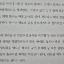 효소&발이야기