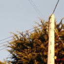 난향동-20 이미지