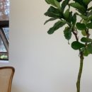 사림동152 이미지