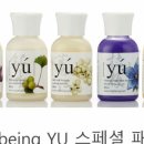 도그비잉코리아