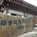 버섯구지마을 이미지