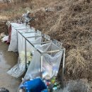 동구릉로459번길L | 서울근교캠핑장 당일치기 구리 사노리숲 3월 4월 이벤트 주차정보 내돈내산 솔직한후기