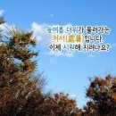 처서 이미지
