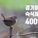 이천유로폼