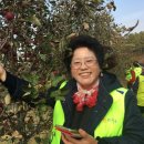 김화자농장 이미지