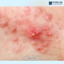 울산터의원 이미지