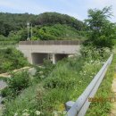 구룡달전로 이미지