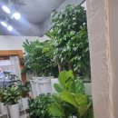 다정플라워 - 경주시 용담로 24-33 | 다정플라워