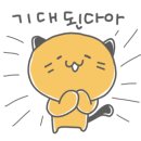 왕십리 고양이 위너펫 24시 이미지