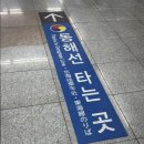 샤샤월드 | [부산] 부산 롯데월드 후기~~ / 티니핑 천국 / 롯데월드 가는 길 / 놀이기구