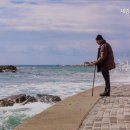 세종시립요양원