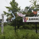 도래미마을 Daum카페