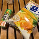 해브솔 방갈로 | 경북 밀양 감성숙소 추천 “해브솔 캠프” 방갈로 4번방 후기