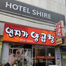 연산동 맛집 연지가양곱창 예약 필수 현지인 맛집