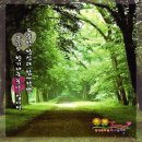 요요플라워 이미지