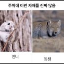 어질인한의원 | 4일 후쿠오카 (1일차①) : 아시아나항공 OZ134 탑승후기 (평일 항공권 가격, 항공기 내부 모니터, 기내식)