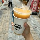 핑구펫 | July. ☀︎༄.° 혹독한 여름나기