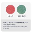 주식회사 해랑 | 가성비 값 펫츠놀로지 기프트박스