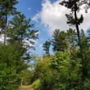 편의점(솔마루) 이미지