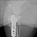 코끼리동물병원 이미지