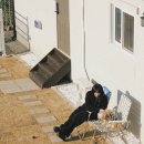 쉼표고성 이미지