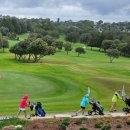 금오골프스쿨 이미지